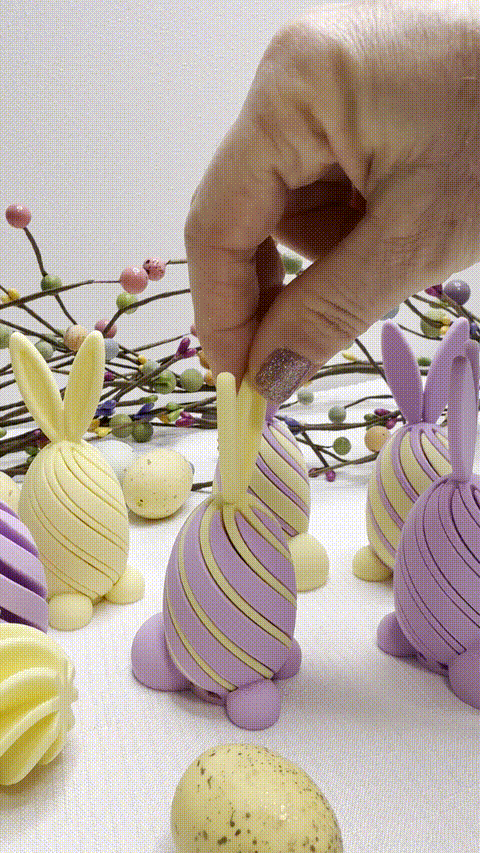 Twist & Pop Easter Bunny Fidget